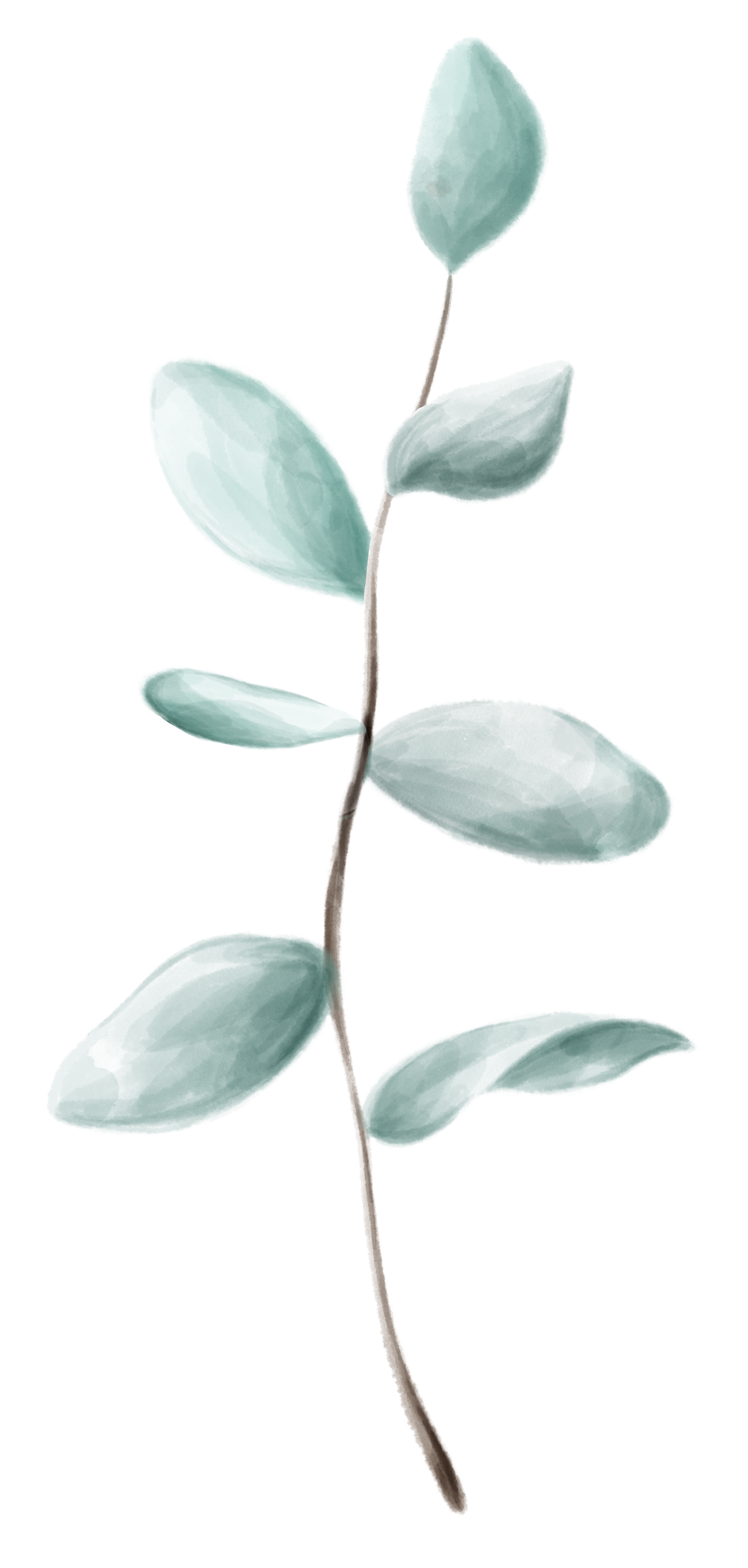Illustration einer dekorativen Pflanze
