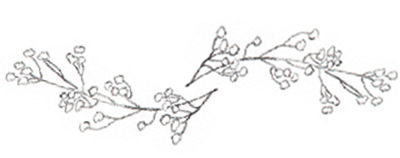 gezeichnete Blumen