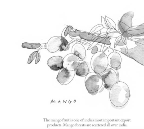 -illustration eines Mangobaumes